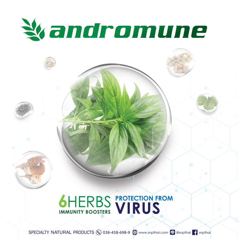 Andrographis Enhance immune and Antioxident Protetion From Virus