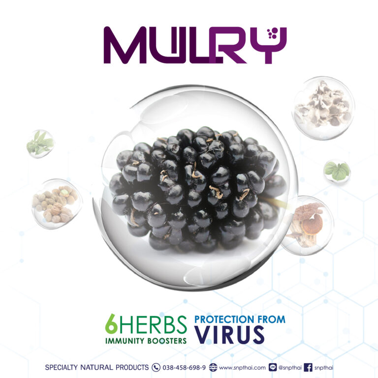 Mulberry Antivirus